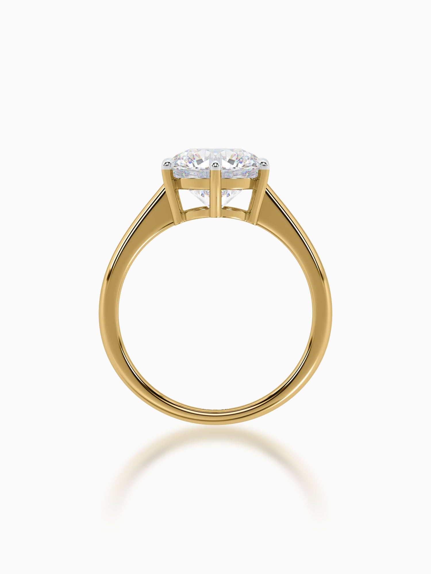 Fidelia Diamond Ring - Evol Jewels