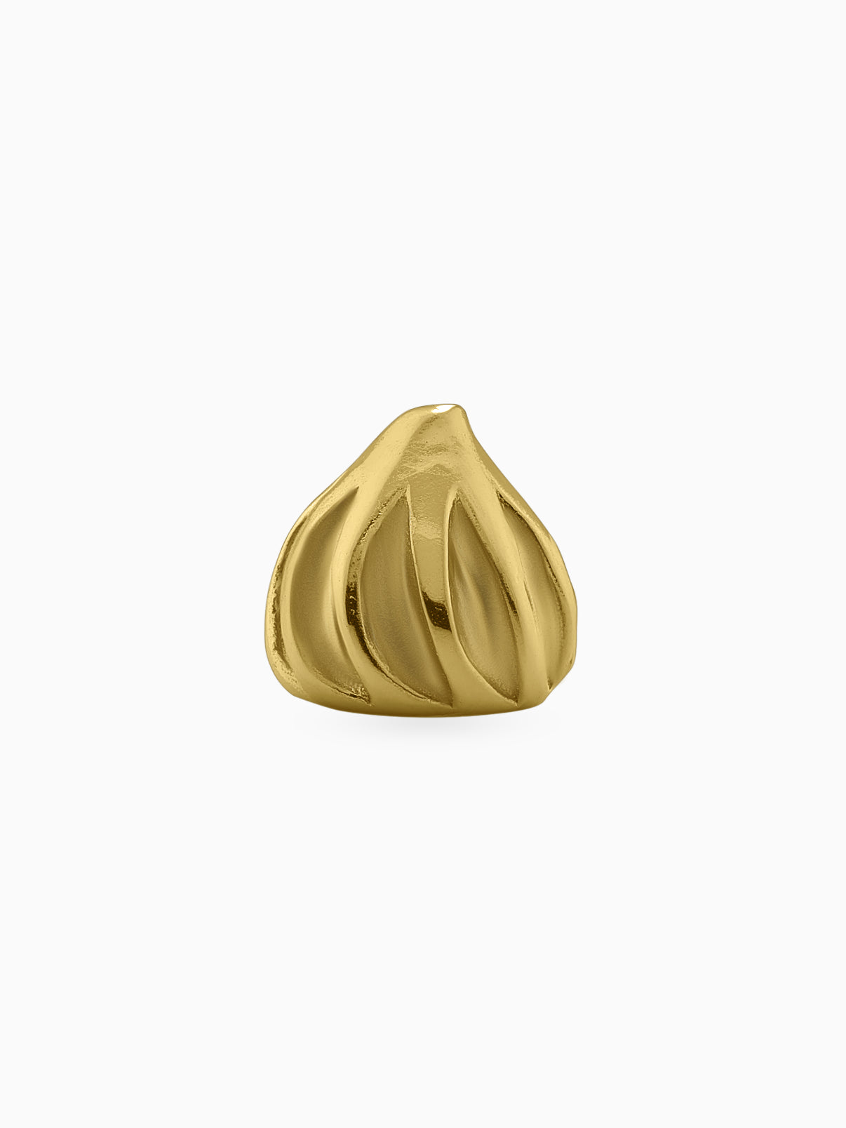 Modak Gold Bean