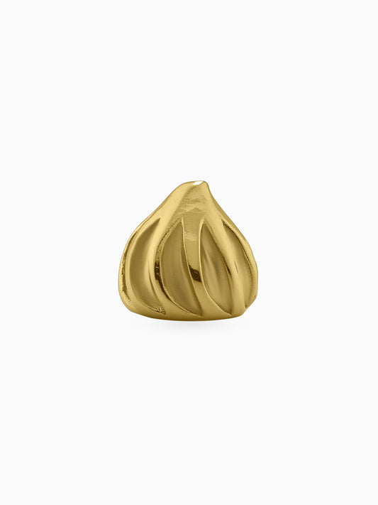 Modak Gold Bean