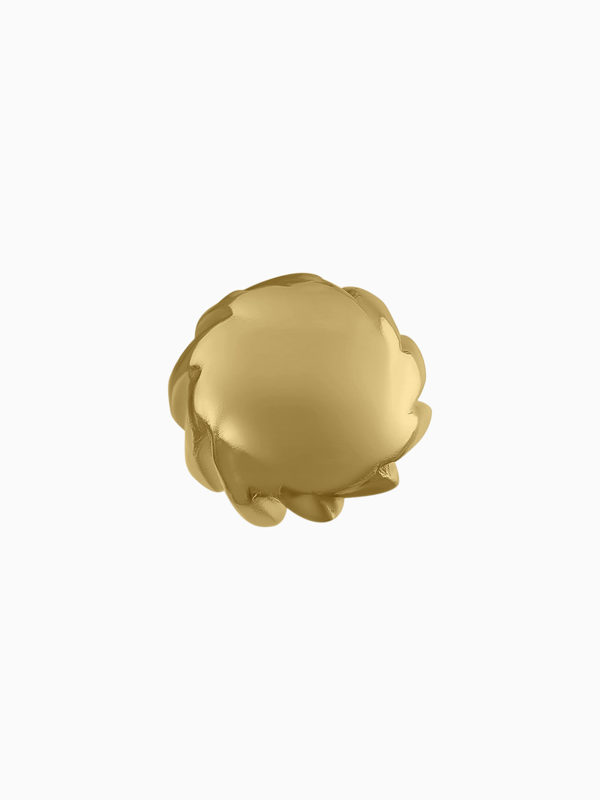 Modak Gold Bean